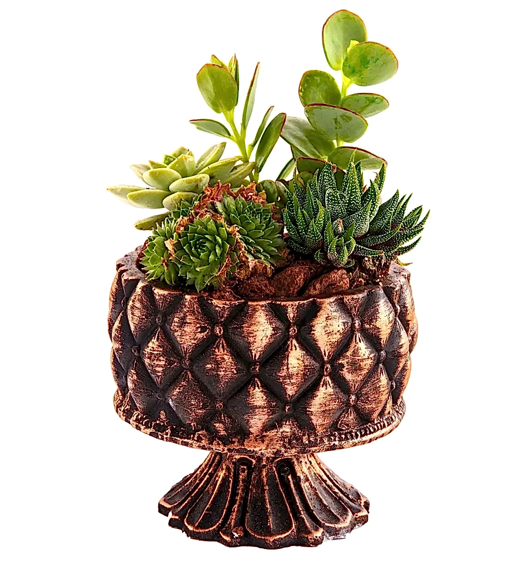 Little Greens Harmony