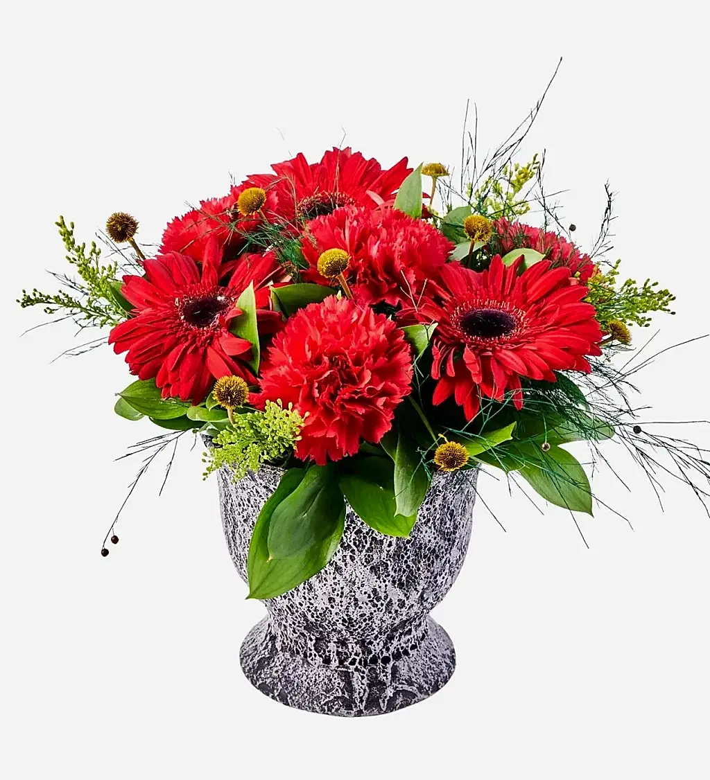 Kırmızı Karanfil ve Gerbera Çiçeği