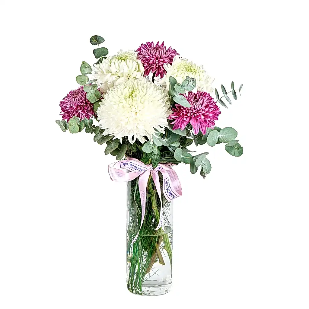 Vazoda Mor-Beyaz Kasımpatılar