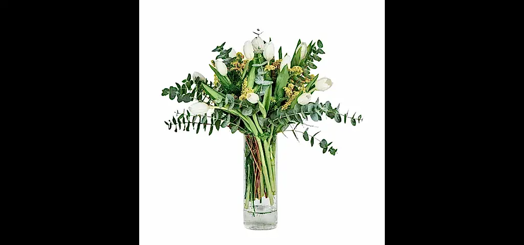 Vazoda Beyaz Laleler