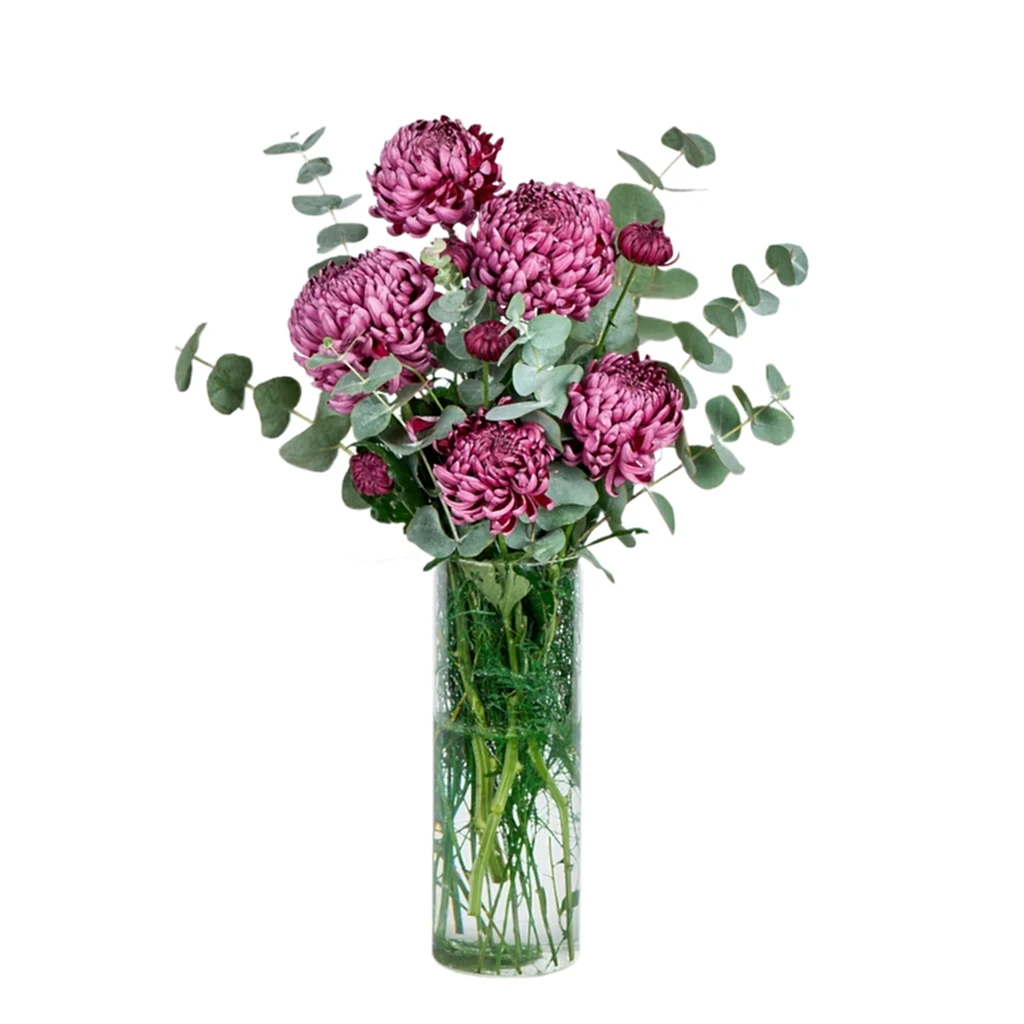 Vazoda Bordo Kasımpatı