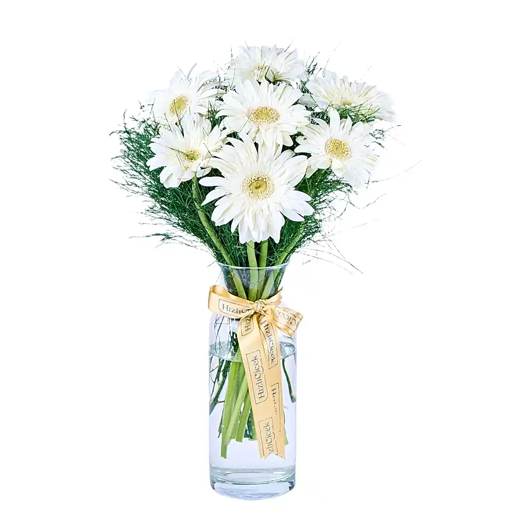 Vazoda Beyaz Gerbera