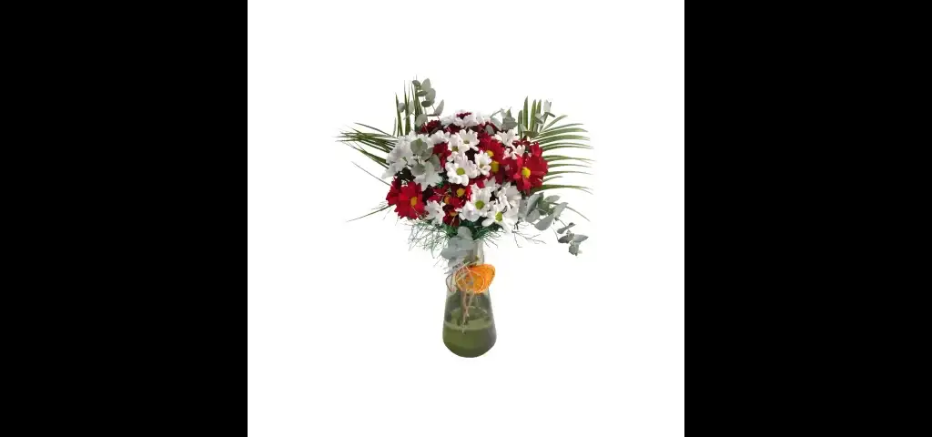 Vazoda Bordo Beyaz Papatya