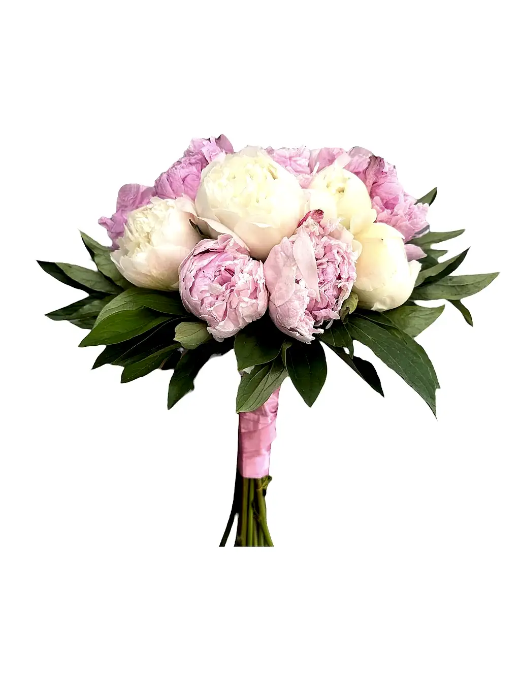 Pembe-Beyaz Şakayıklar Gelin Çiçeği