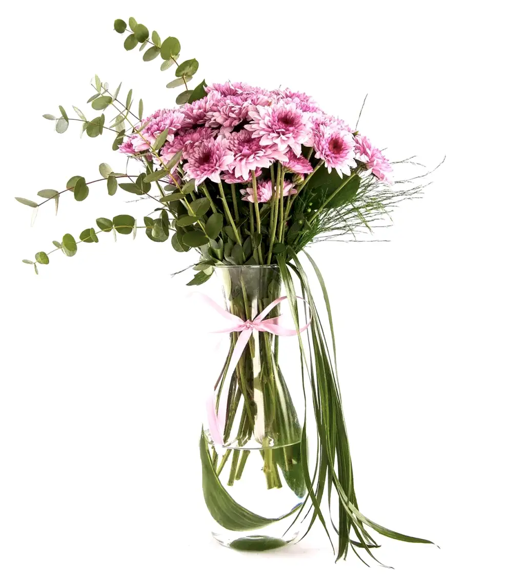 Fresh Dream Krizantem