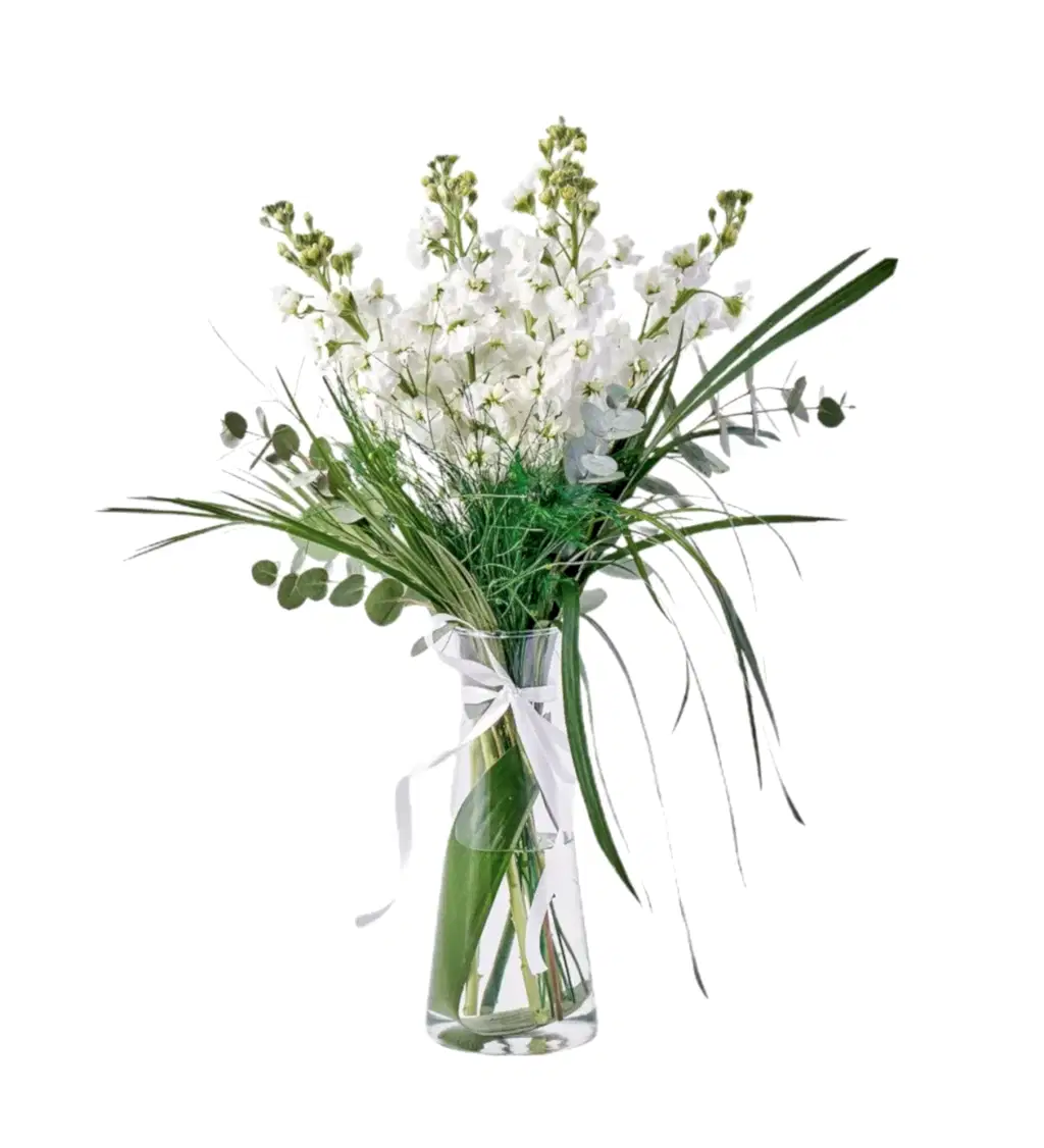 Vazoda Şebboy Çiçeği