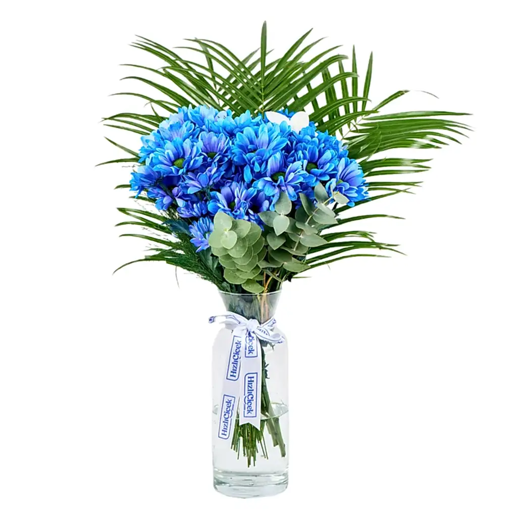 Vazoda Mavi Papatyalar