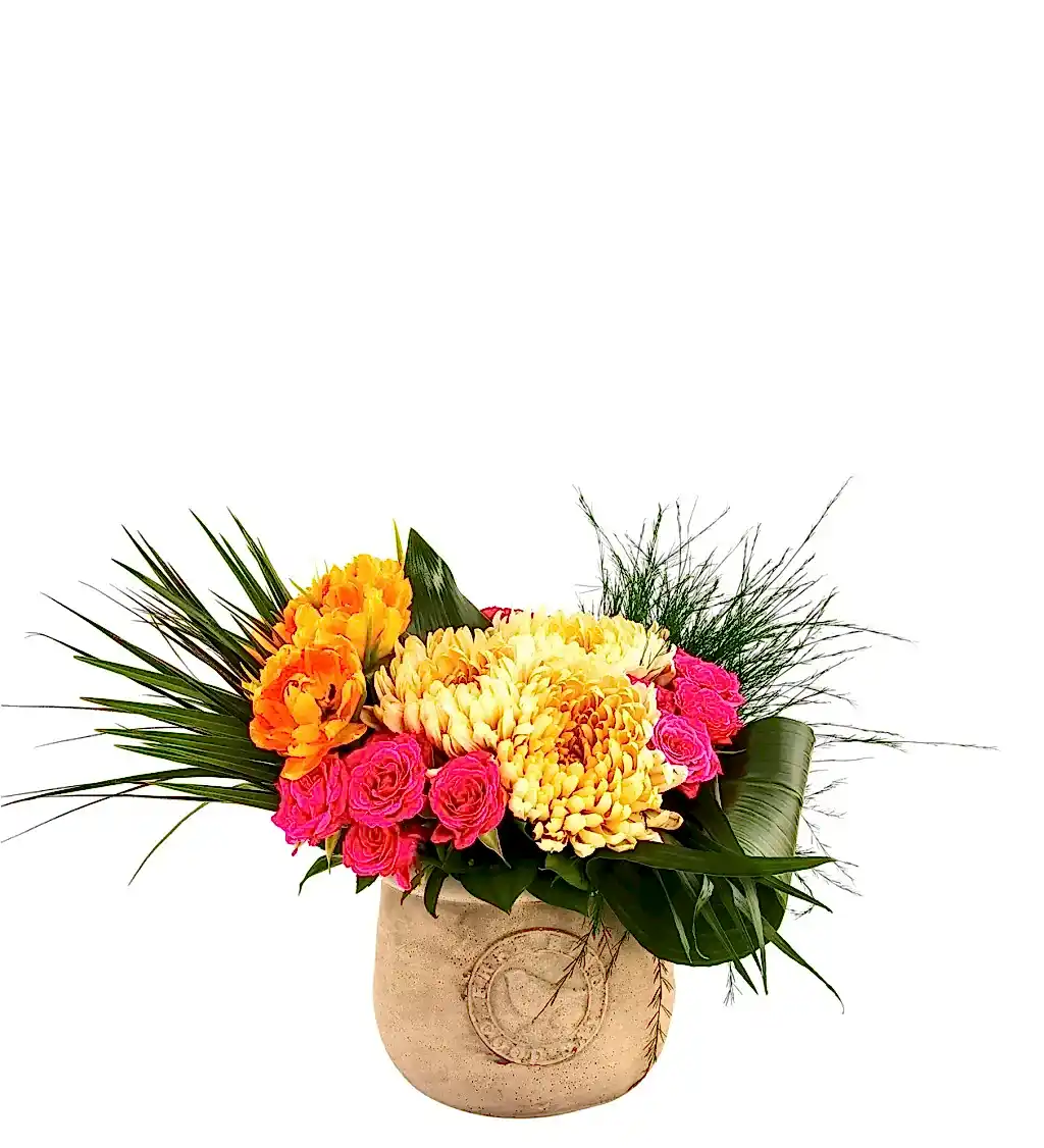 Big Fresh Colorful Gift