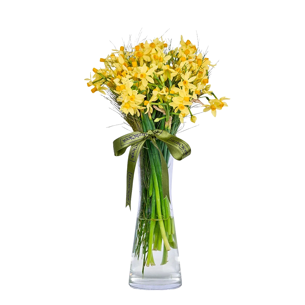 Vazoda Sarı Nergis