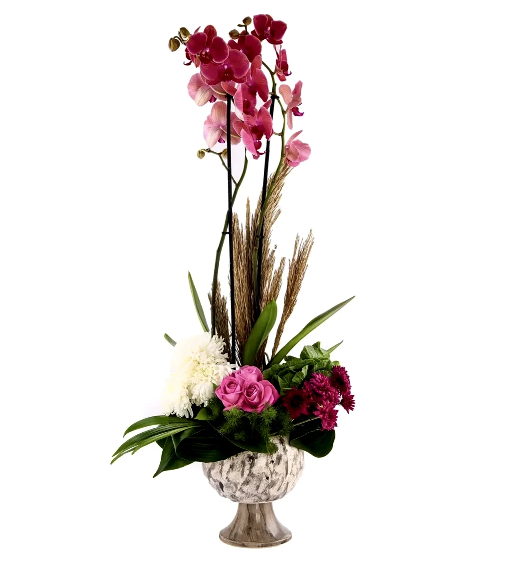 Good Vibes Double Orkide