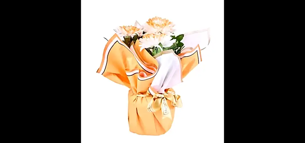 Saksıda Orange Kasımpatı