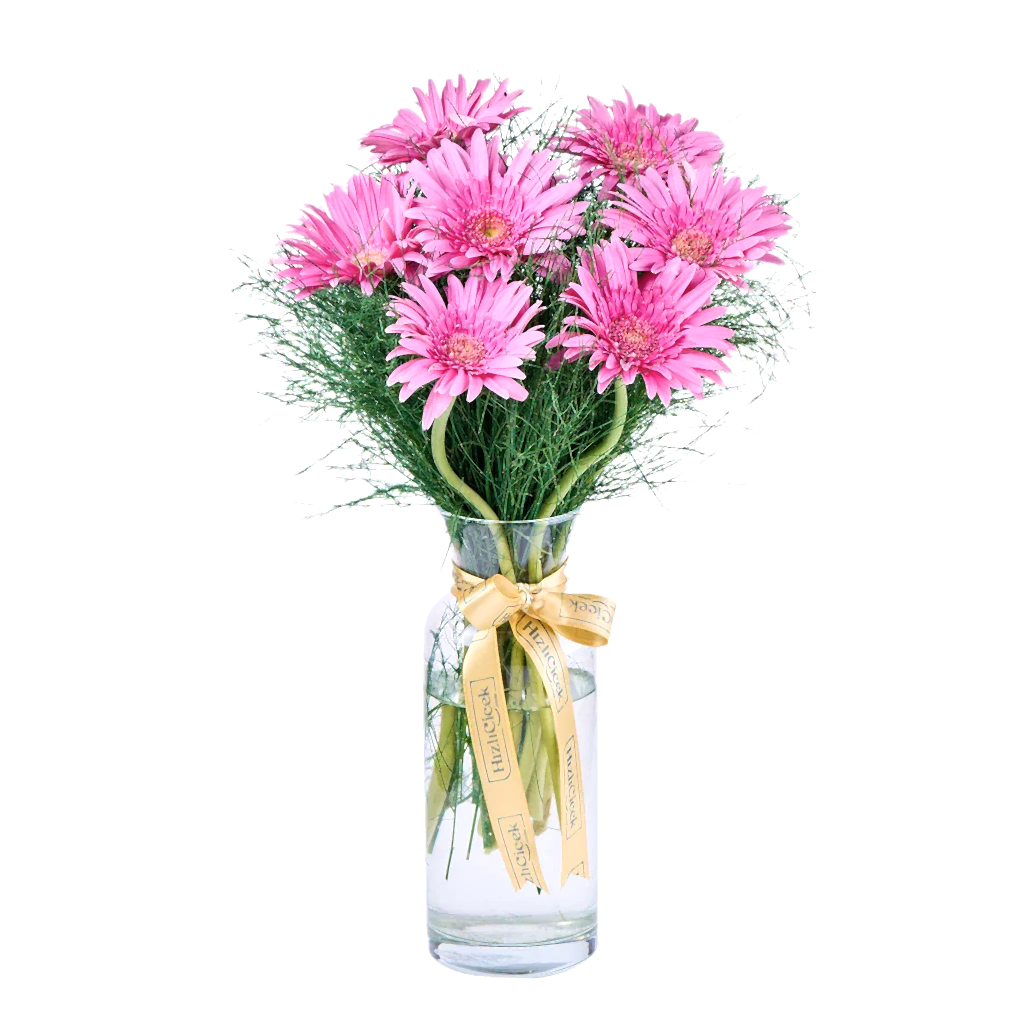 Vazoda Pembe Gerbera