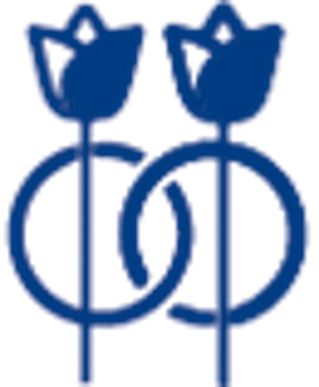 Söz/Nişan/Düğün Çiçekleri - Kategorisi