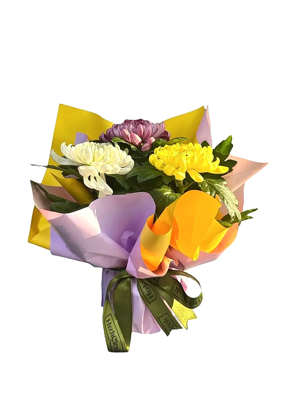 Saksıda Rengarenk Kasımpatı