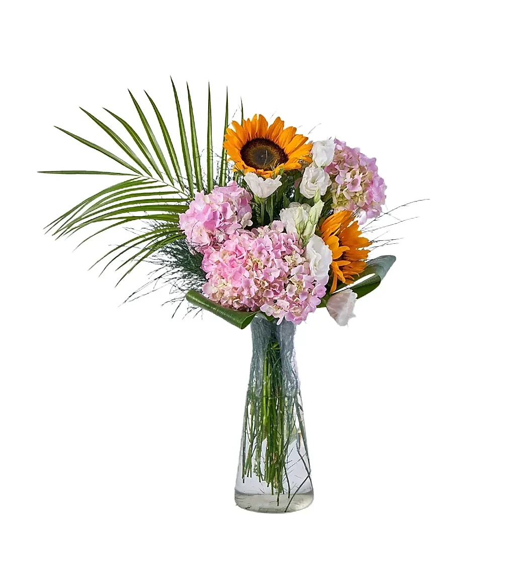 Vazoda Ortanca Dream