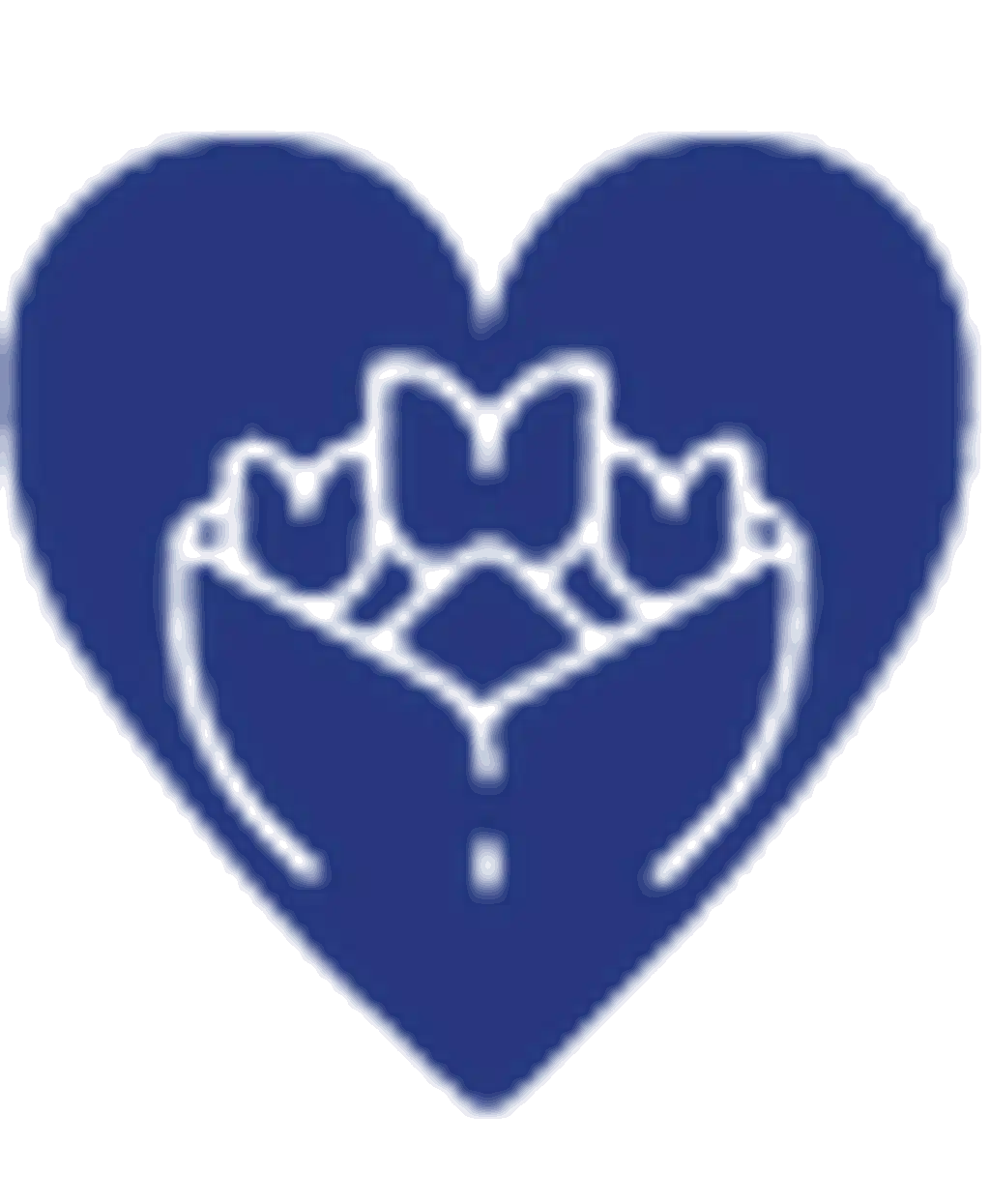 Sevgiliye Çiçek - Kategorisi