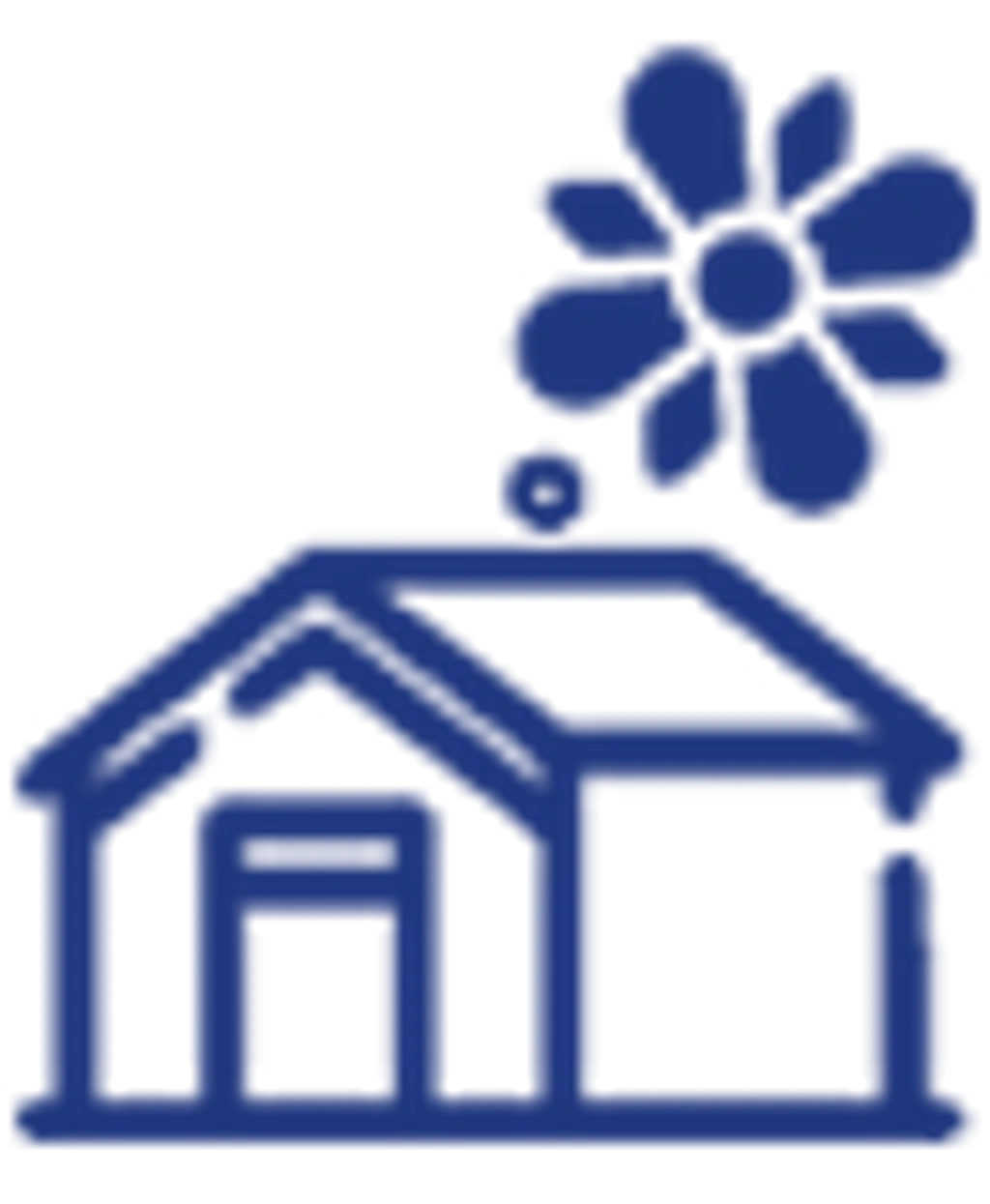 Ev Çiçekleri - Kategorisi