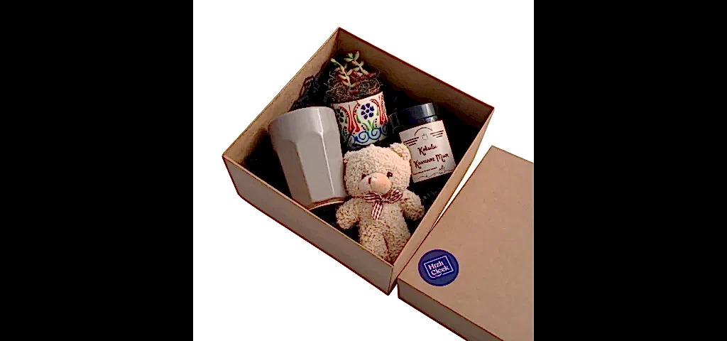 Sukulent Hediye Kutusu