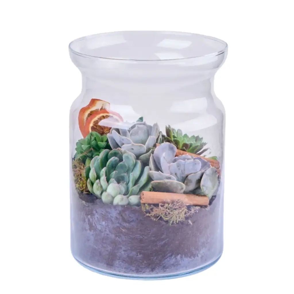 Nature’s Green Teraryum