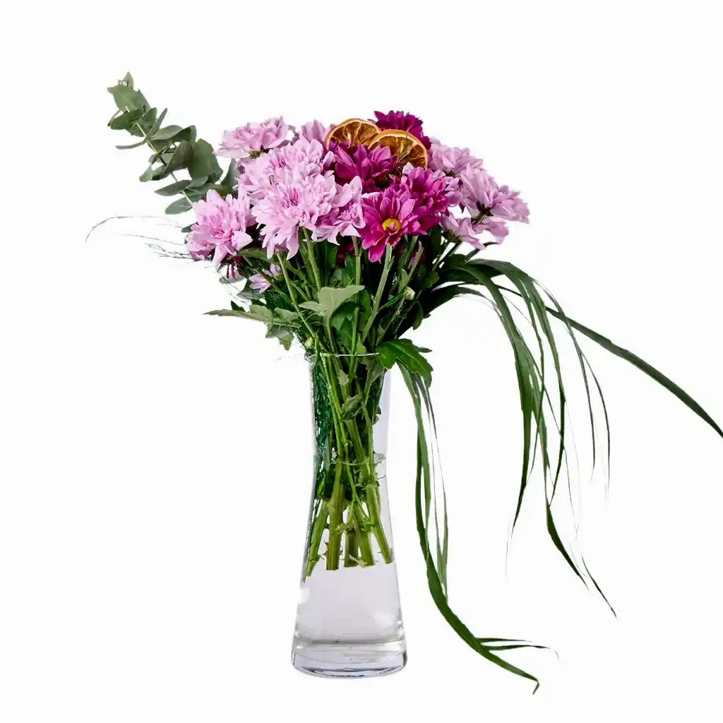 Vazoda Pembe ve Bordo Krizantem