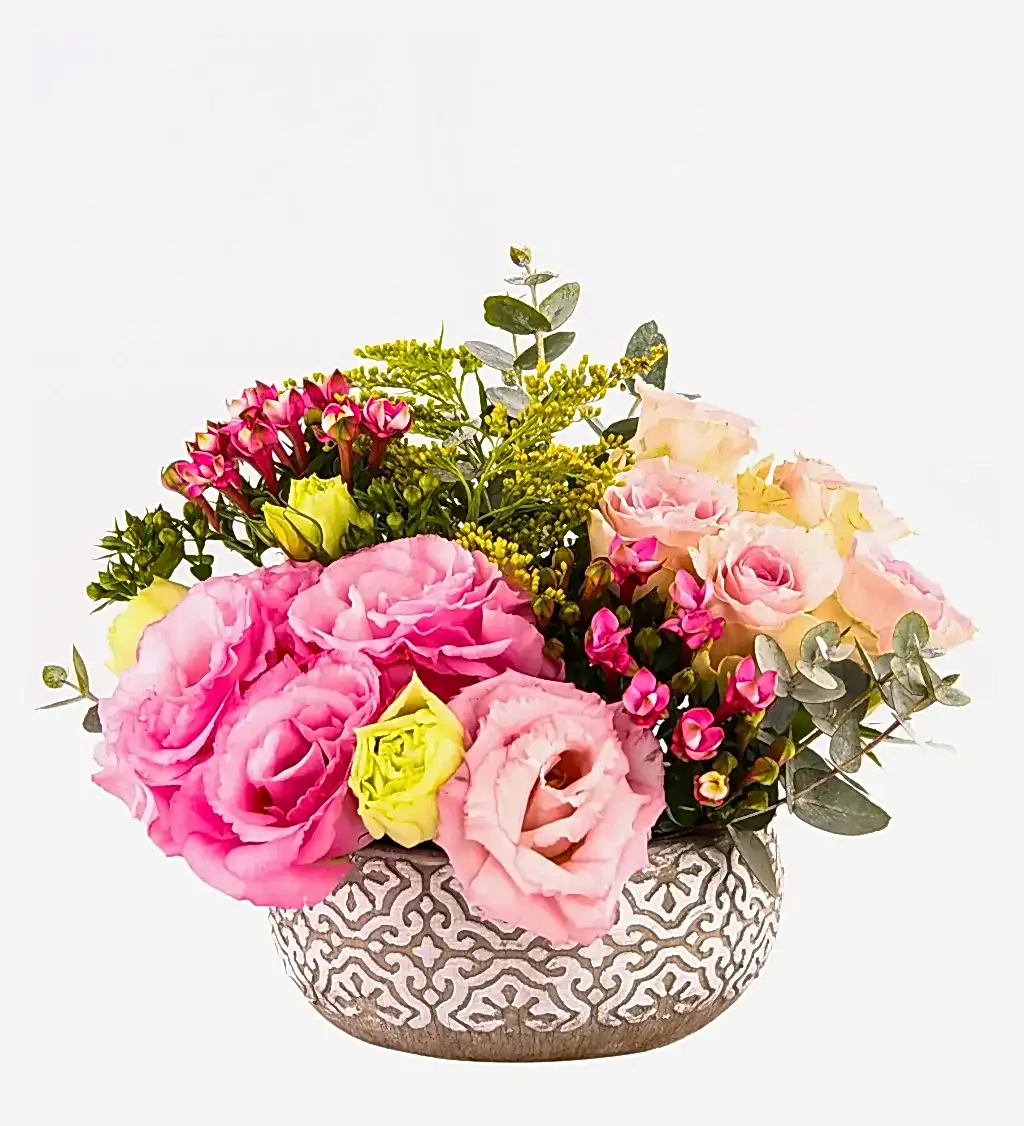 Fresh Energy Bubbles