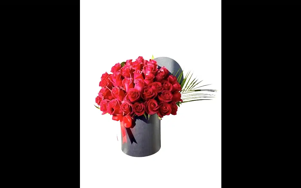 41 Kırmızı Rose Box