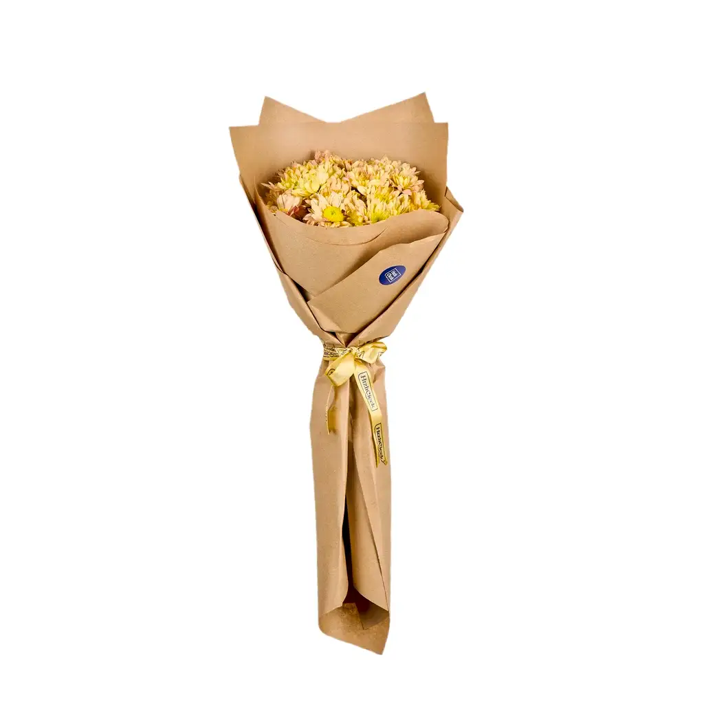 Somon Krizantem Buketi