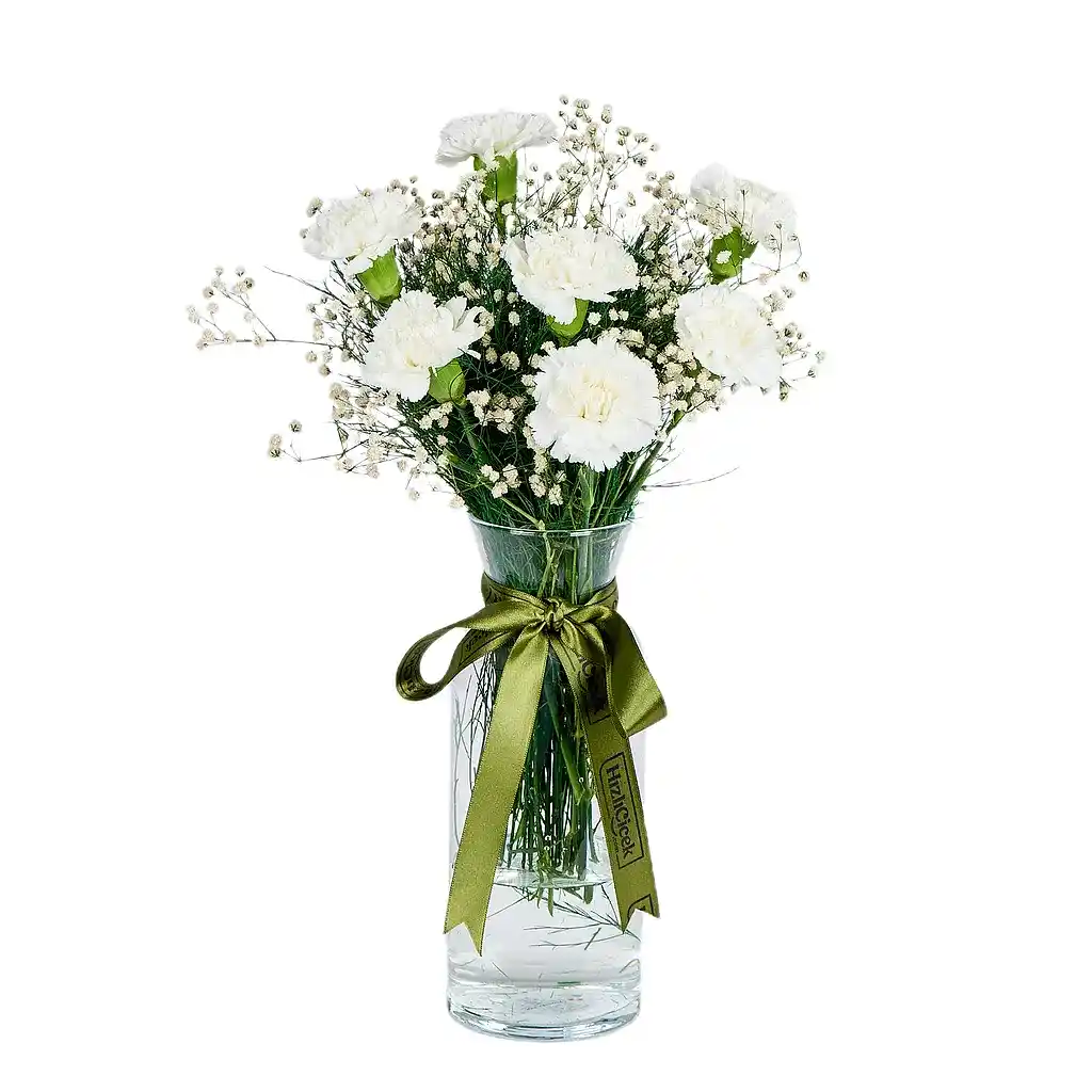 Vazoda Beyaz Karanfil