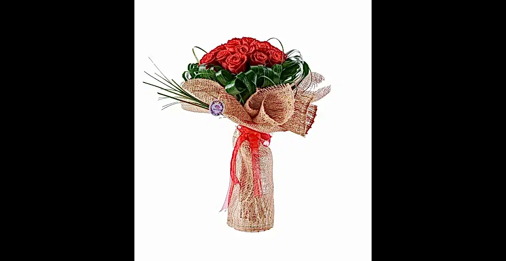 Premium 21 Kırmızı Gül