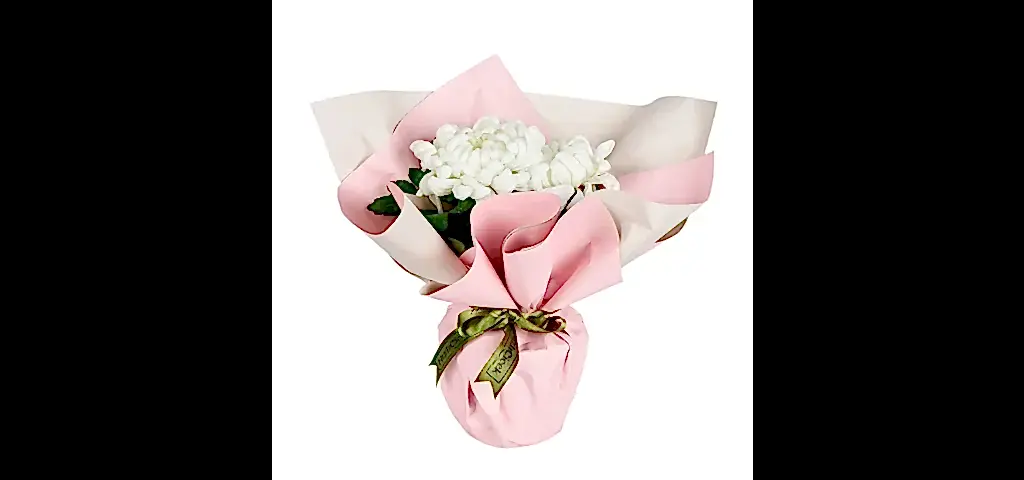 Saksıda Beyaz Kasımpatı