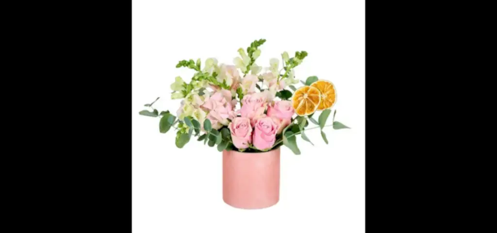 Pure Essence Aslanağzı