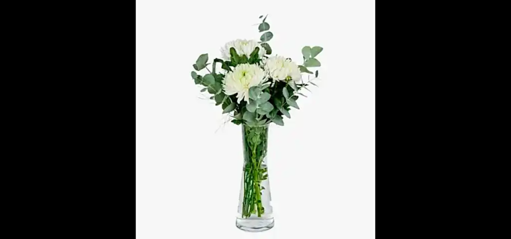 Vazoda Beyaz Kasımpatılar