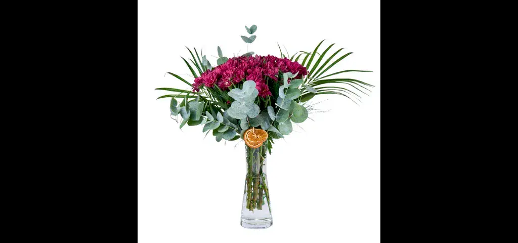 Vazoda Bordo Papatya