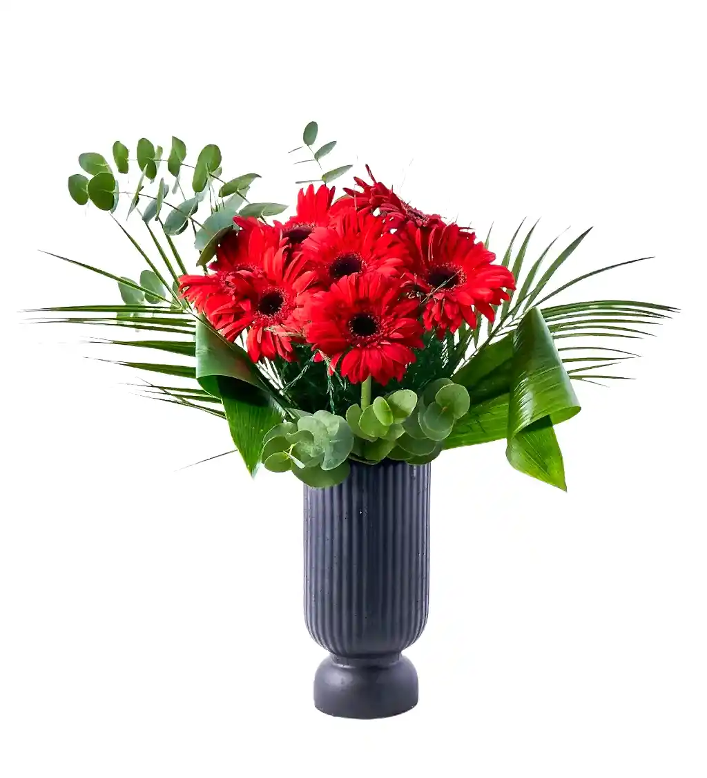 Siyah Vazoda Kırmızı Gerbera