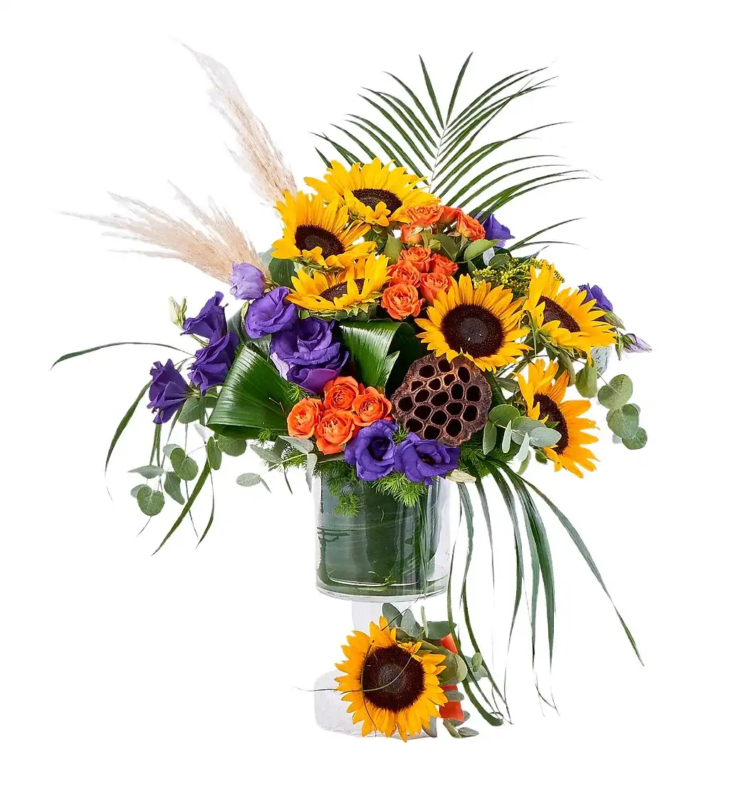 Premium Sunflower Dream