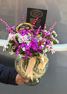 Fanusta  Caryophy Arajman